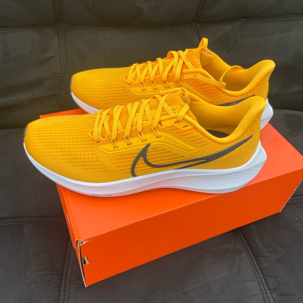 Men’s Nike Pegasus